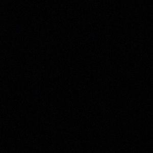 Meet your Posher, Trent